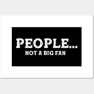 Funny People Not A Big Fan Introvert Sarcasm 5 Posters and Art
